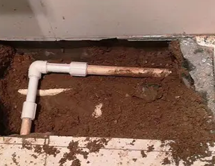 奇台测漏水哪家好