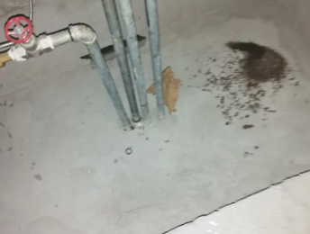 奇台卫生间测漏水价格明细